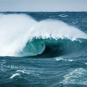 Meet your Posher, Lupe